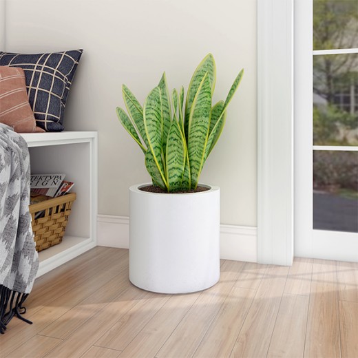 White RC-1005 cylindrical planter with an indoor green plant beside a window